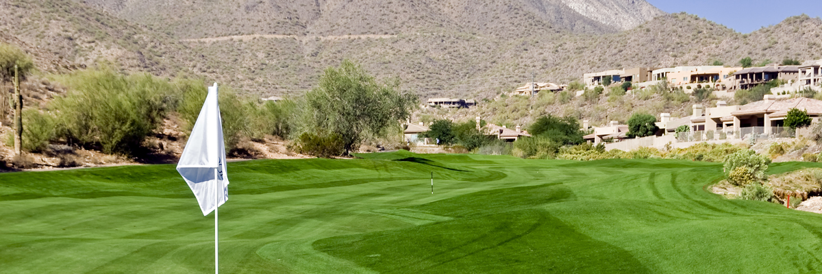 overseeding Blog